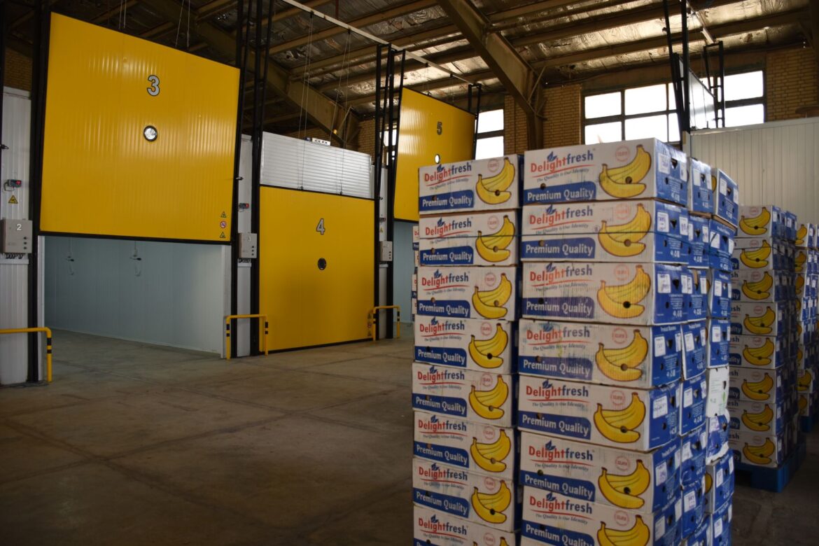 Industrial banana ripening facility in Isfahan with stacked boxes and chambers.