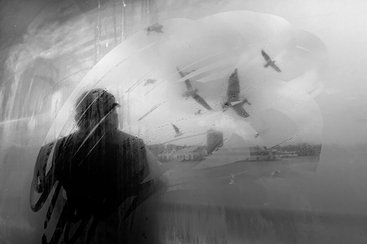 Monochrome image of a man's silhouette observing birds through a fogged-up window, creating a mysterious atmosphere.