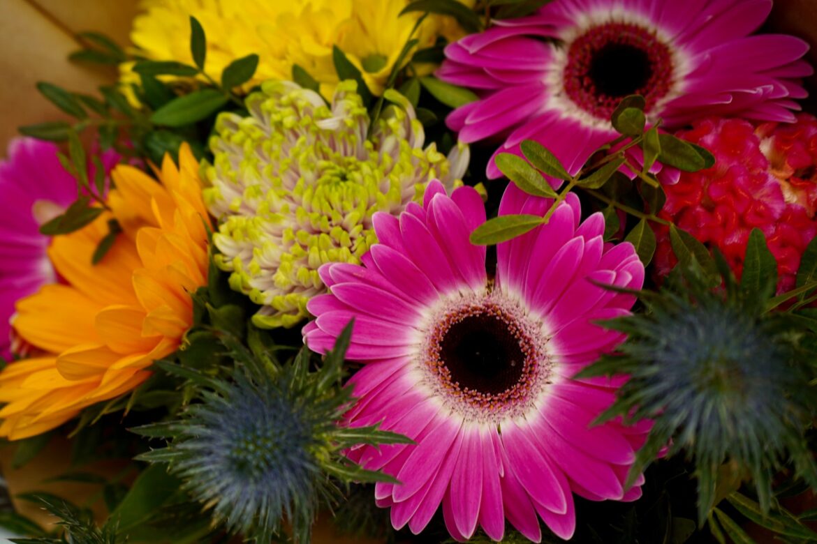 A colorful bouquet featuring gerberas, chrysanthemums, and thistles surrounded by greenery.